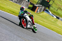 Oulton-Park-14th-March-2020;PJ-Motorsport-Photography-2020;anglesey;brands-hatch;cadwell-park;croft;donington-park;enduro-digital-images;event-digital-images;eventdigitalimages;mallory;no-limits;oulton-park;peter-wileman-photography;racing-digital-images;silverstone;snetterton;trackday-digital-images;trackday-photos;vmcc-banbury-run;welsh-2-day-enduro